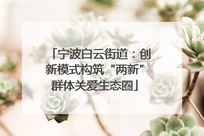 宁波白云街道：创新模式构筑“两新”群体关爱生态圈